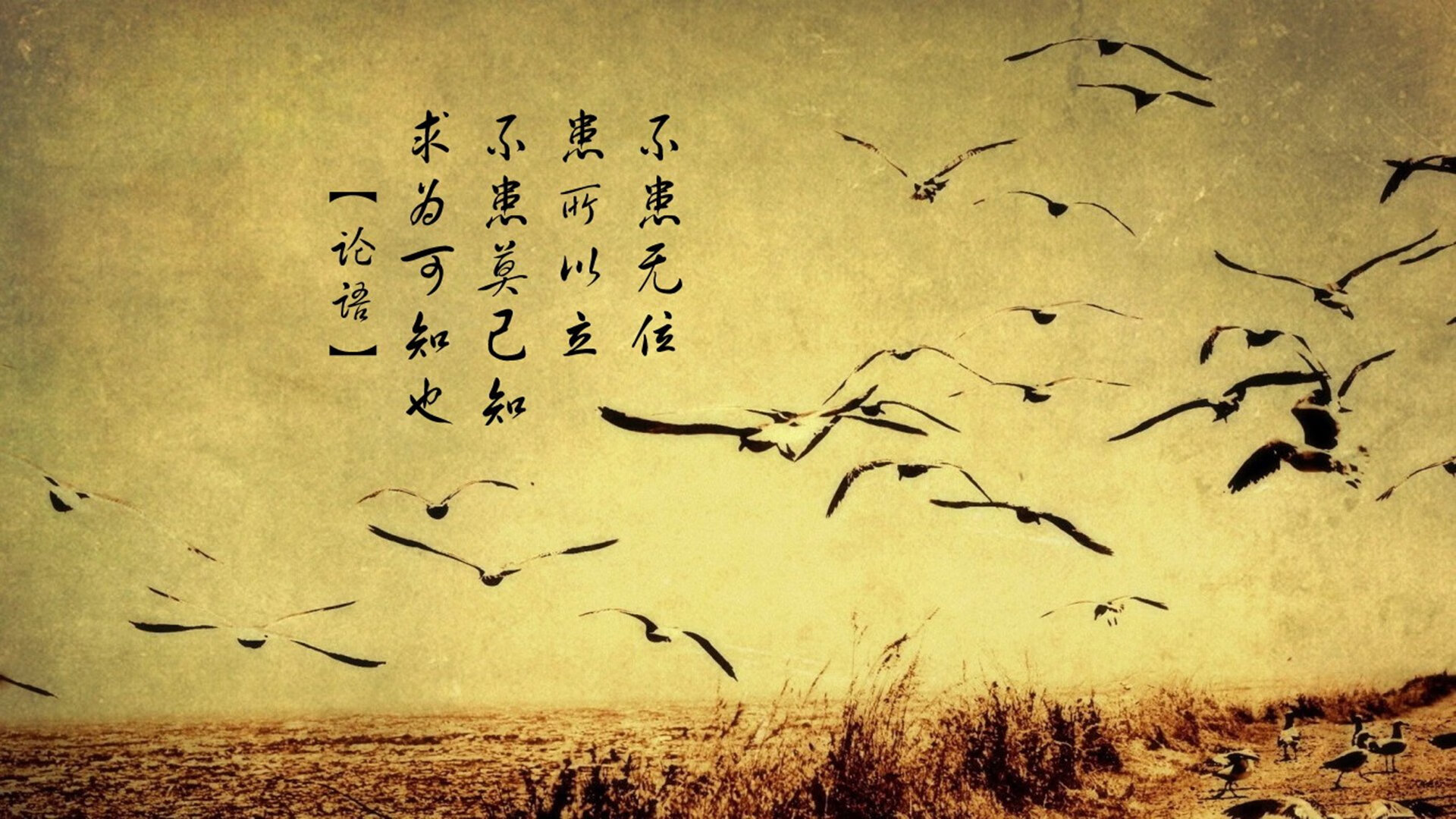 开云下载-东决关键战之夜，楚阿梅尼，一夜从负重到腾飞