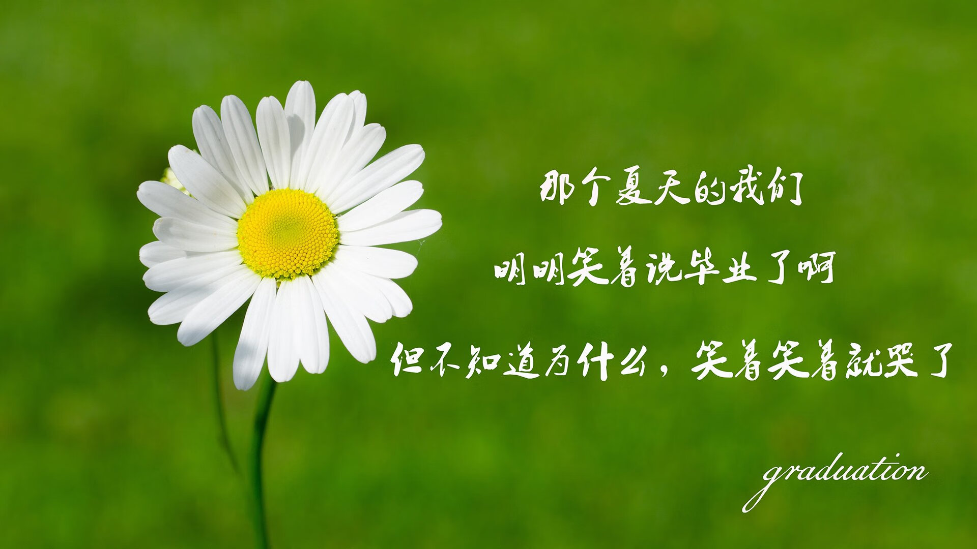 中亚铁骑破瑞士钟表，维尼修斯独舞，乌兹别克斯坦写就世界杯最燃冷门